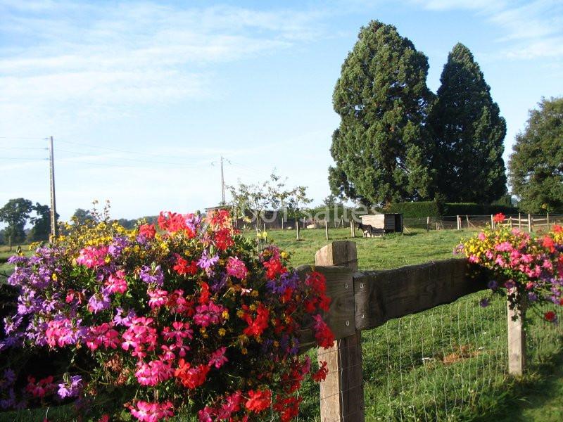 Location salle Bagnoles-de-l'Orne (Orne) - Hôtel de Tessé #10