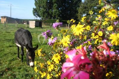 Location salle Bagnoles-de-l'Orne (Orne) - Hôtel de Tessé #12