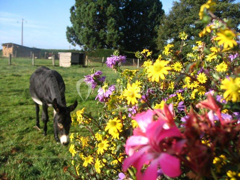 Location salle Bagnoles-de-l'Orne (Orne) - Hôtel de Tessé #9