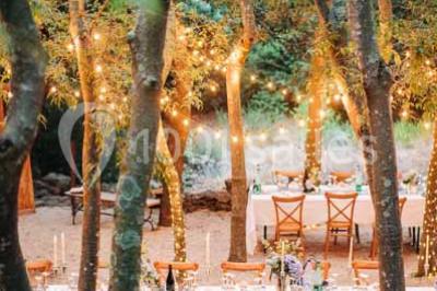 Location salle Sorède (Pyrénées-Orientales) - Mas Del Ca #24