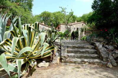 Location salle Sorède (Pyrénées-Orientales) - Mas Del Ca #24