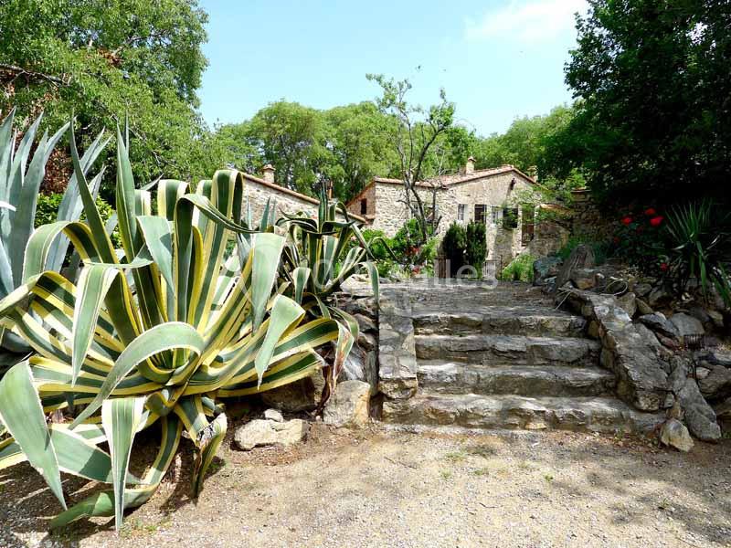 Location salle Sorède (Pyrénées-Orientales) - Mas Del Ca #2