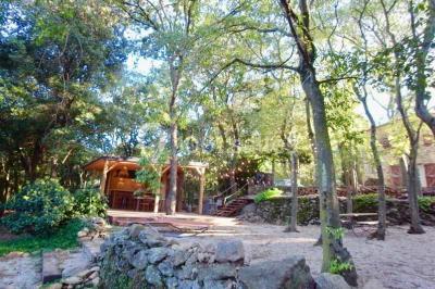 Location salle Sorède (Pyrénées-Orientales) - Mas Del Ca #24