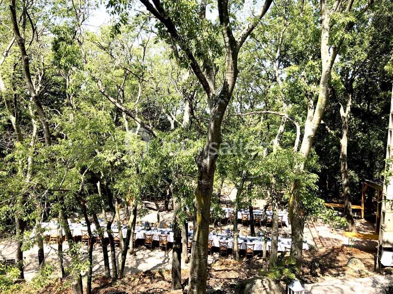 Location salle Sorède (Pyrénées-Orientales) - Mas Del Ca #15