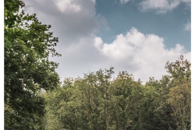 Plan architectural d'un bâtiment avec disposition des pièces, espaces privés et zones extérieures indiquées.