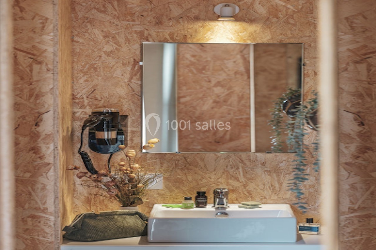 Lavabo blanc avec miroir éclairé, sèche-cheveux mural, accessoires de toilette et décor végétal sur fond de bois.