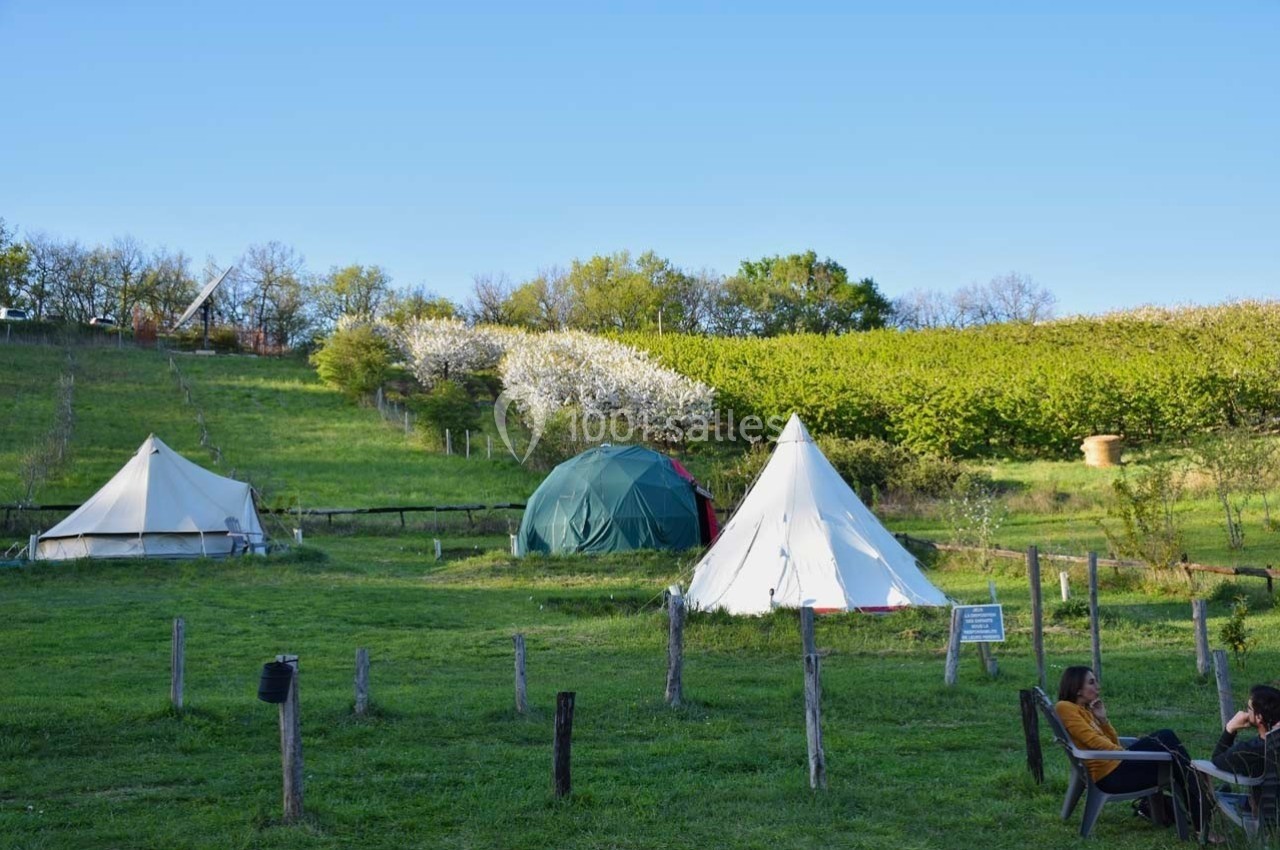 Trois tentes installées dans un pré verdoyant, entourées d'arbres et de fleurs sous un ciel dégagé.