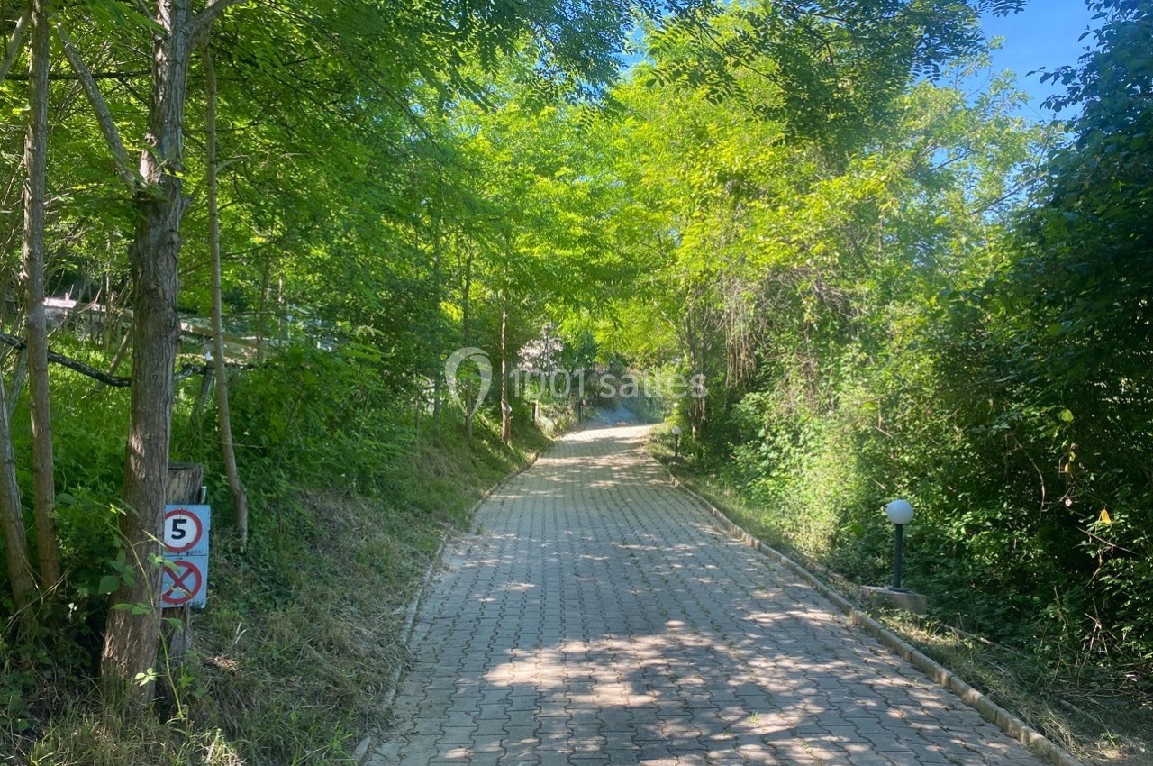 Chemin pavé bordé d'arbres et de végétation, avec un panneau de limitation à 5 km/h sur la gauche.