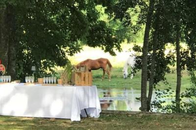 Chambre lumineuse avec un lit double, murs en pierre et peinture bleue, parquet en bois et fenêtre donnant sur la campagne.