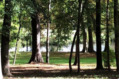 Chambre lumineuse avec un lit double, murs en pierre et peinture bleue, parquet en bois et fenêtre donnant sur la campagne.