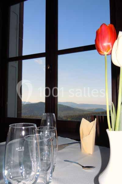 Location salle Ottrott (Bas-Rhin) - Mont Sainteodile #12