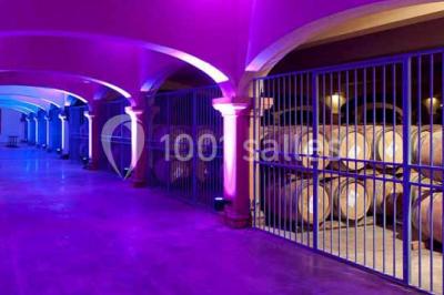 Location salle Carcassonne (Aude) - Tourisme Affaires Aude #23