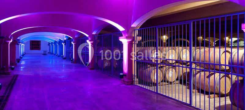 Location salle Carcassonne (Aude) - Tourisme Affaires Aude #10