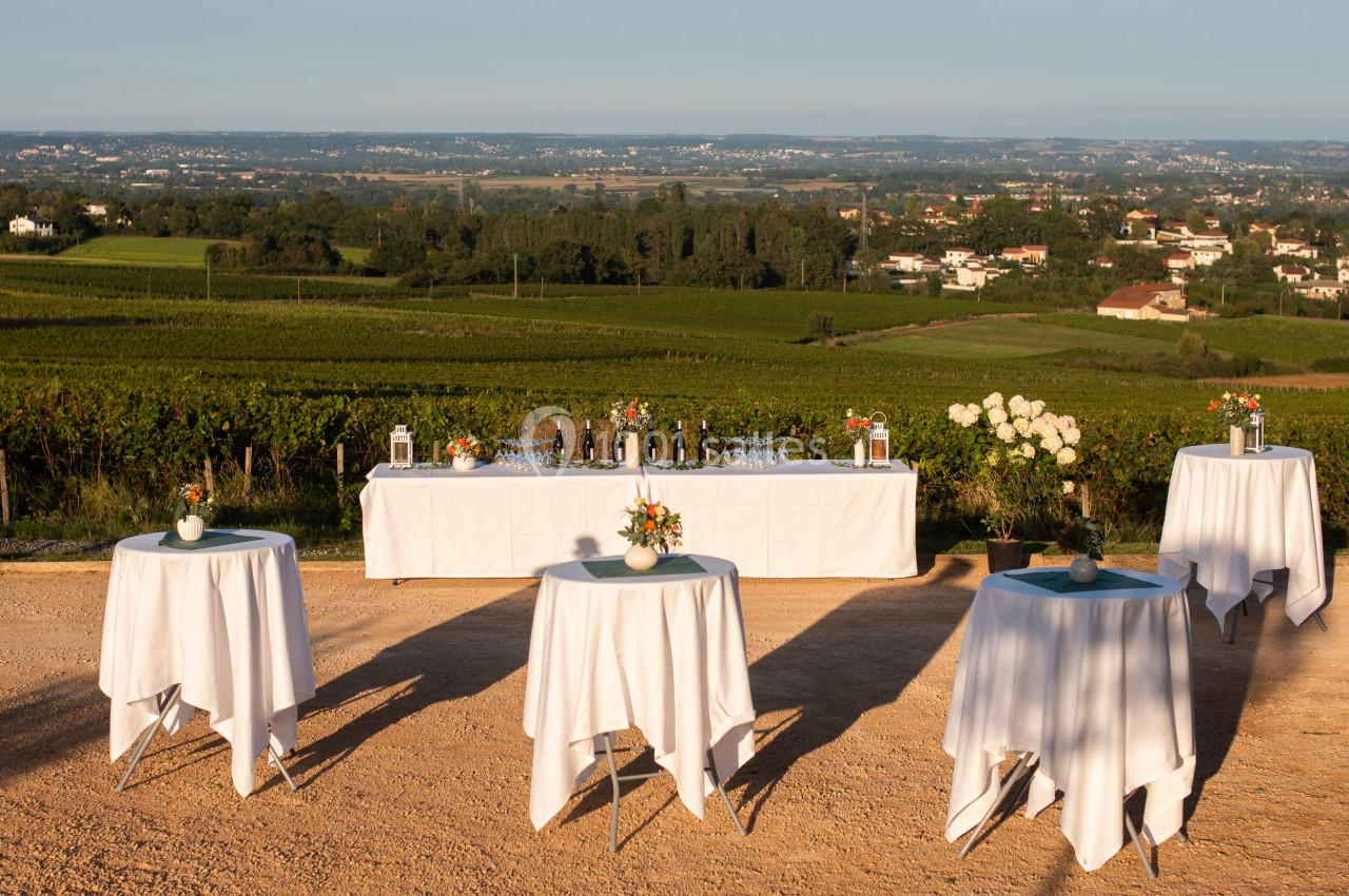 Location salle Saint-Jean-des-Vignes (Rhône) - Domaine Meryt #5