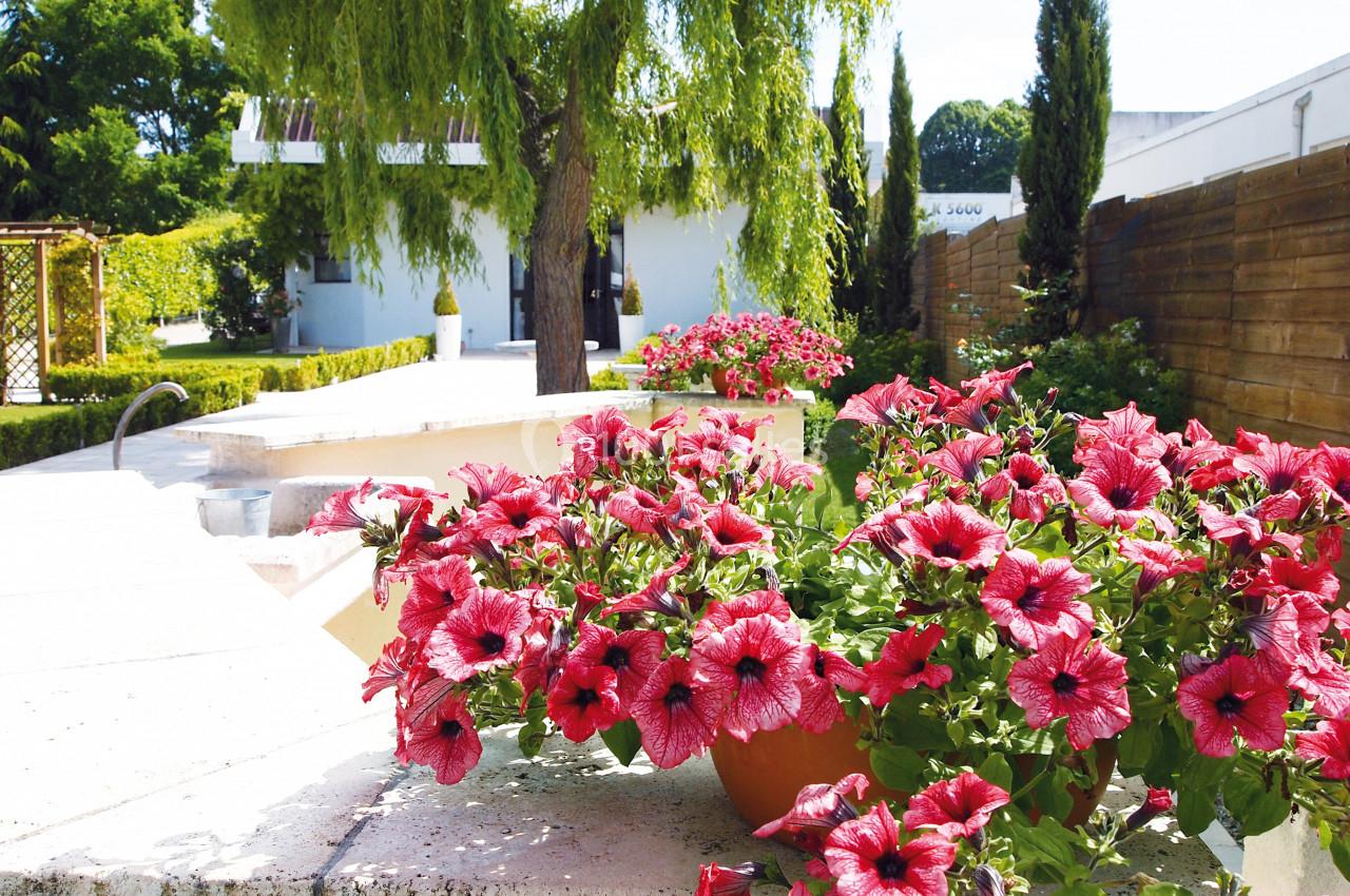 Location salle Bouafle (Yvelines) - Les Délices Ephémères  #11