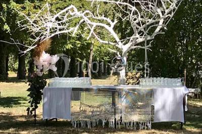 Location salle Tonnerre (Yonne) - L'abbaye Saint Michel #24