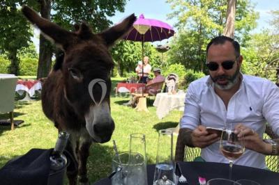 Location salle Tonnerre (Yonne) - L'abbaye Saint Michel #24