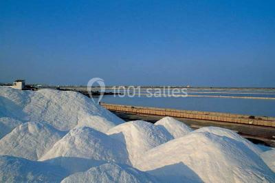 Location salle Gruissan (Aude) - Stelsia Casino Gruissan #22