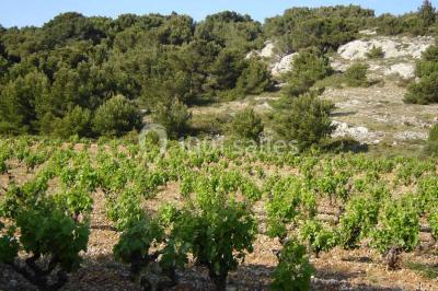 Location salle Gruissan (Aude) - Stelsia Casino Gruissan #22