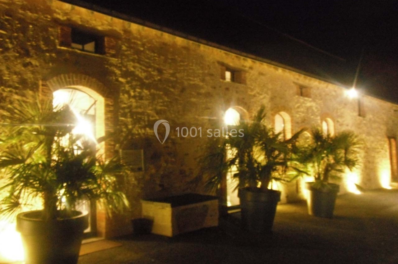 Façade en pierre éclairée de nuit avec des plantes en pots alignées devant les fenêtres.