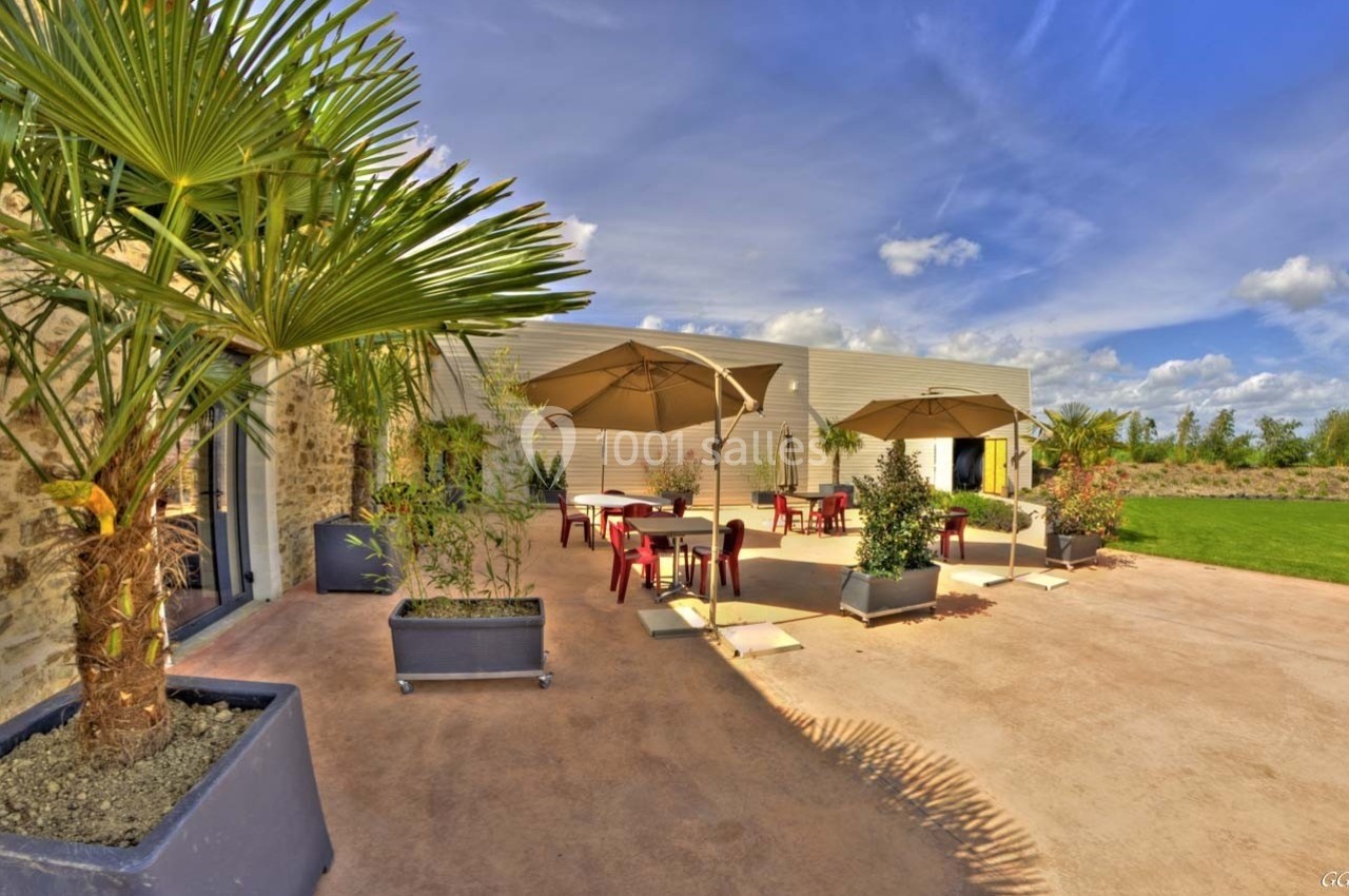 Terrasse ensoleillée avec tables, chaises rouges et parasols, entourée de plantes en pots et d'un mur en pierre.