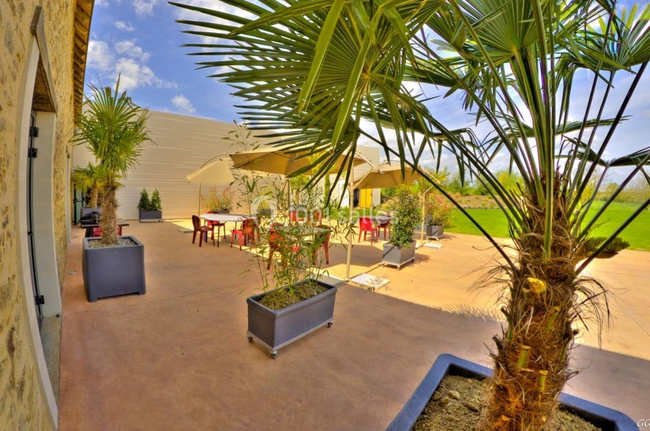 Terrasse ensoleillée avec tables, chaises rouges et parasols, entourée de plantes en pots et d'une pelouse verdoyante.