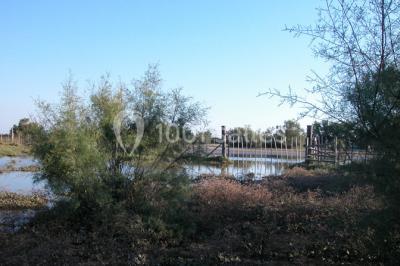 Location salle Arles (Bouches-du-Rhône) - Manade Mailhan Mas des Bernacles #24