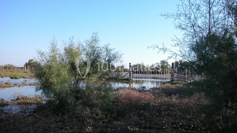 Location salle Arles (Bouches-du-Rhône) - Manade Mailhan Mas des Bernacles #20