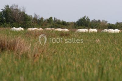 Location salle Arles (Bouches-du-Rhône) - Manade Mailhan Mas des Bernacles #24