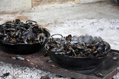 Location salle Arles (Bouches-du-Rhône) - Manade Mailhan Mas des Bernacles #24