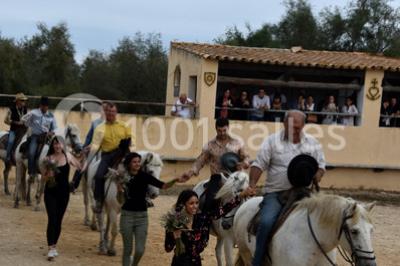 Location salle Arles (Bouches-du-Rhône) - Manade Mailhan Mas Des Bernacles #24