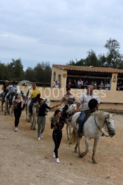 Location salle Arles (Bouches-du-Rhône) - Manade Mailhan Mas Des Bernacles #22