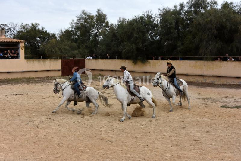 Location salle Arles (Bouches-du-Rhône) - Manade Mailhan Mas Des Bernacles #21