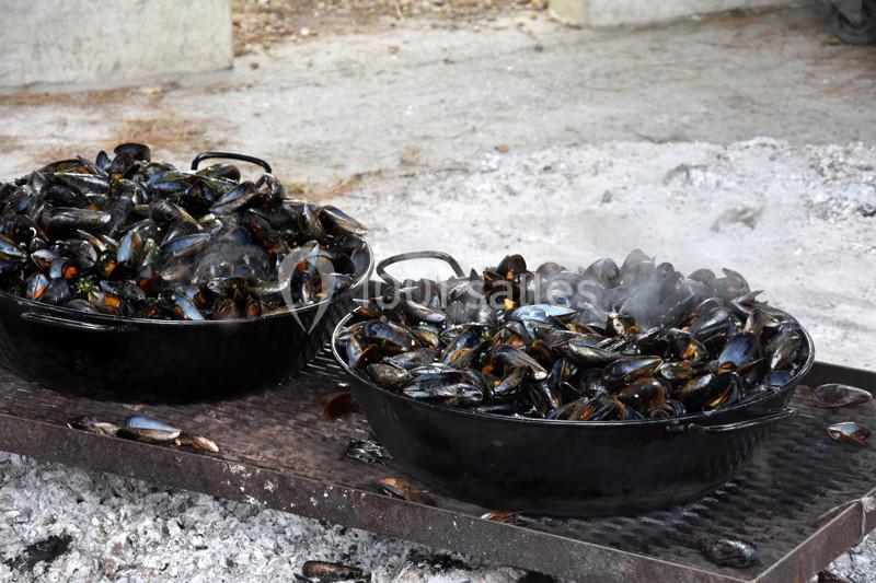 Location salle Arles (Bouches-du-Rhône) - Manade Mailhan Mas Des Bernacles #6