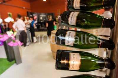 Miniature Location salle Baroville (Aube) - Champagne de Barfontarc #12 Location salle Baroville (Aube) - Champagne de Barfontarc #15