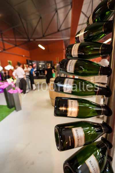 Location salle Baroville (Aube) - Champagne de Barfontarc #12