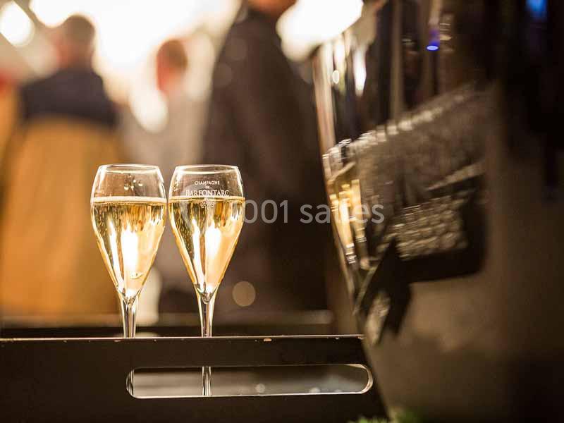 Location salle Baroville (Aube) - Champagne de Barfontarc #17