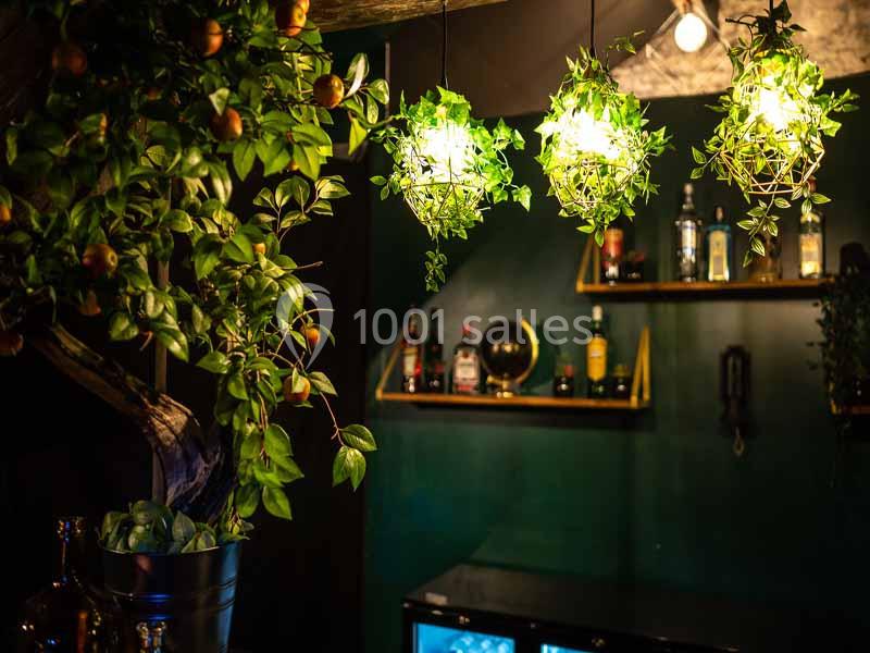 Plantes suspendues éclairées au-dessus d'un bar avec des étagères contenant des bouteilles et un globe terrestre.