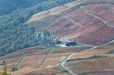 Location salle Odenas (Rhône) - L'ermitage de Brouilly #30