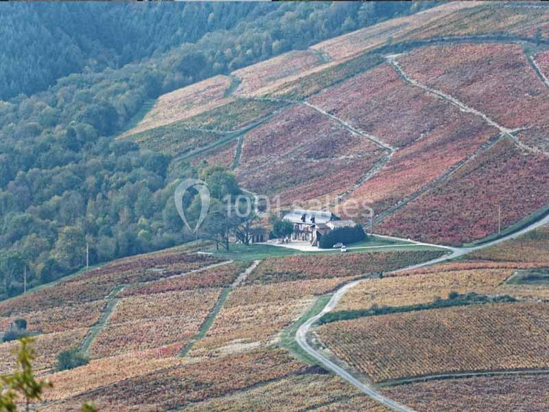 L'ermitage de Brouilly - galerie - photo 3