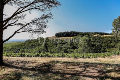 Location salle Odenas (Rhône) - L'ermitage de Brouilly #30