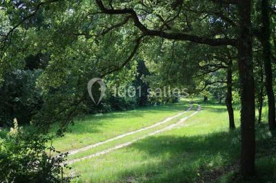 Façade d'un bâtiment illuminée par des motifs colorés, avec guirlandes lumineuses et leur reflet dans un plan d'eau.