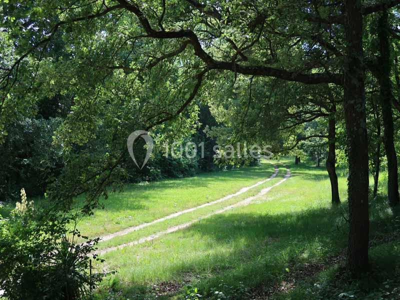 Chemin de terre traversant une clairière verdoyante entourée d'arbres sous une lumière naturelle.