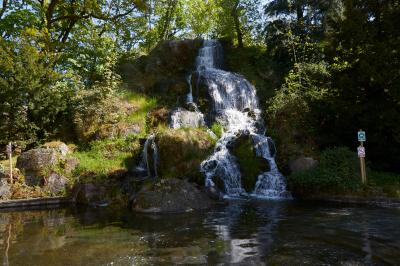 Cascade naturelle entourée de végétation, se déversant dans un bassin calme sous une lumière ensoleillée.