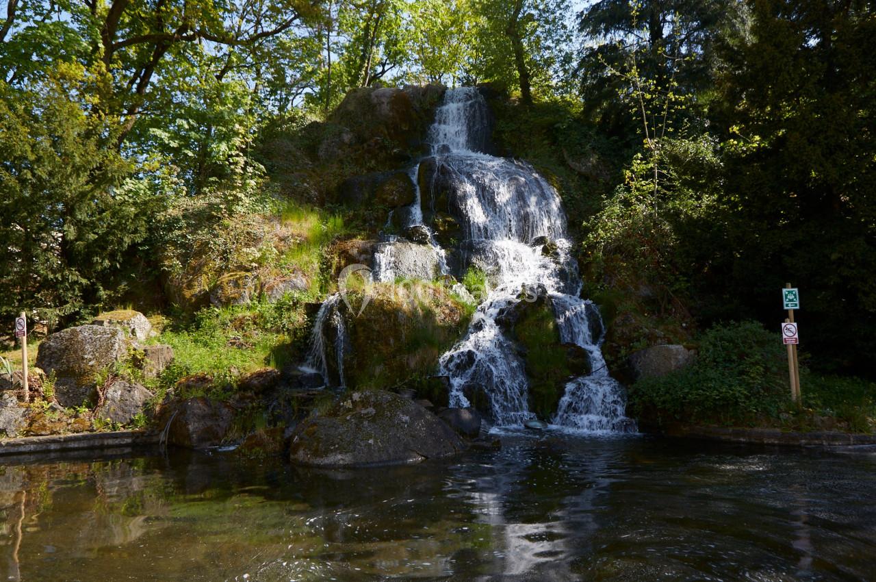 Cascade naturelle entourée de végétation, se déversant dans un bassin calme sous une lumière ensoleillée.