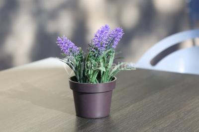 Location salle Marseille 2 (Bouches-du-Rhône) - Résidence Aixoise #13