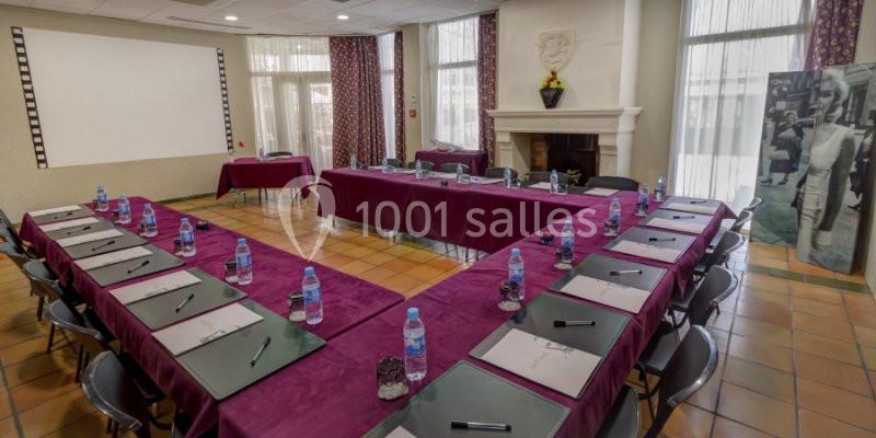 Location salle Arles (Bouches-du-Rhône) - Hôtel Arles Plaza #2