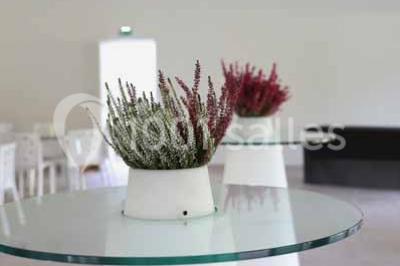 Location salle Giroussens (Tarn) - Les Lauriers de la Bastide #24