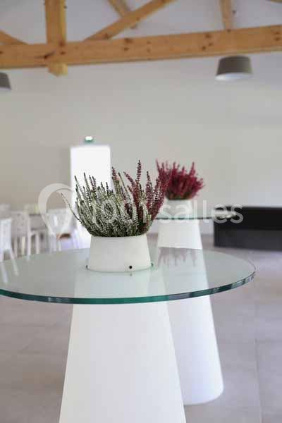 Location salle Giroussens (Tarn) - Les Lauriers de la Bastide #11