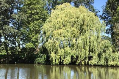Bancs en bois disposés en extérieur, ornés de sacs en papier, avec une table blanche en arrière-plan près d'un étang.